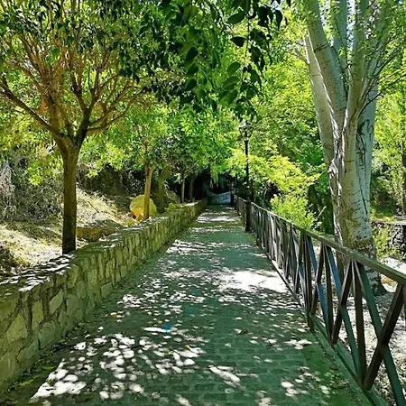 El Rincon De Elena Cazorla