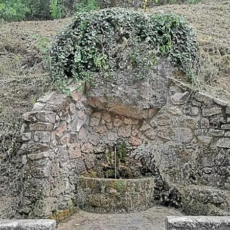 El Rincon De Elena