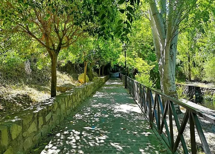 El Rincon De Elena Cazorla
