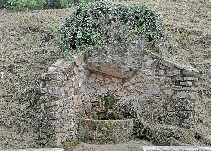 El Rincon De Elena
